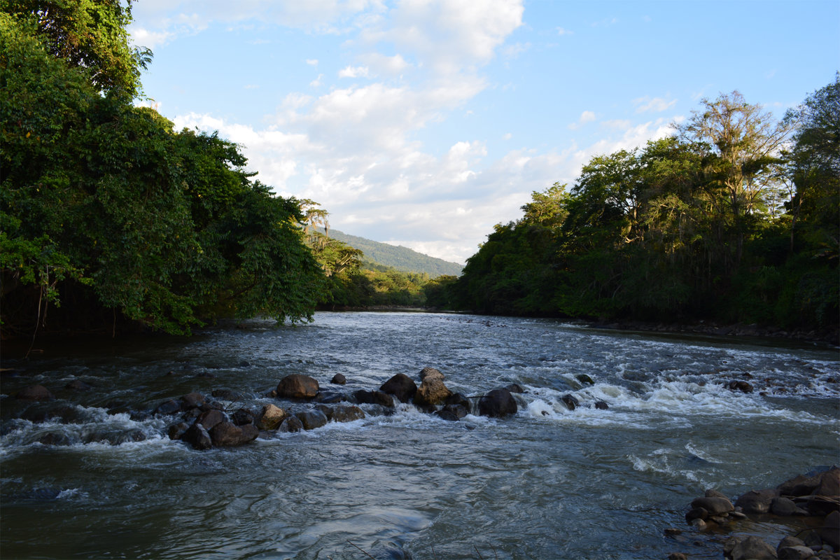 El Parque Gallineral: un pulmón natural y emblemático en Colombia
