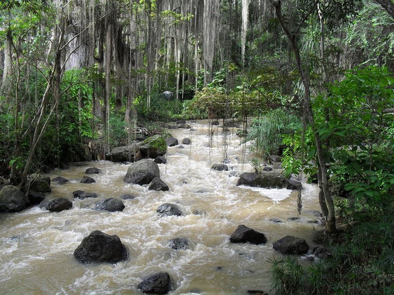 El Parque Gallineral: un pulmón natural y emblemático en Colombia