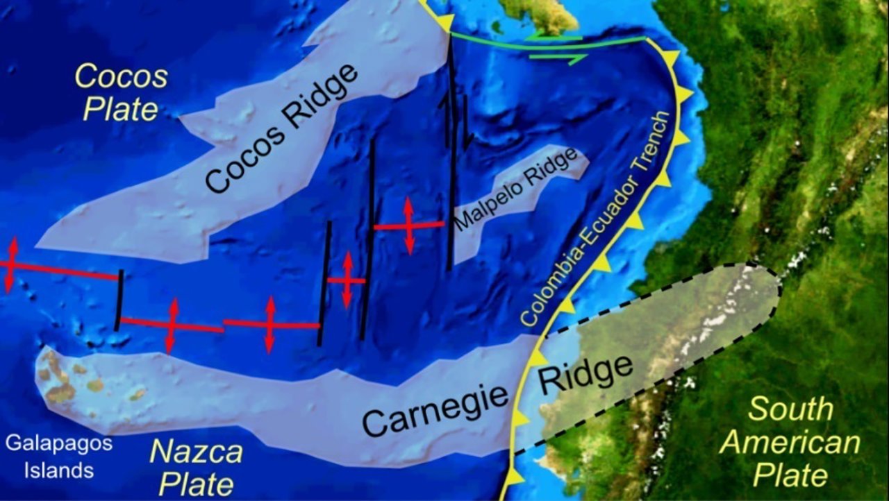 Placa de Nazca y Placa Sudamericana 