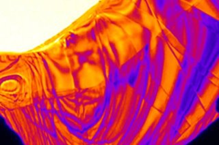 Imagen en microscopio 