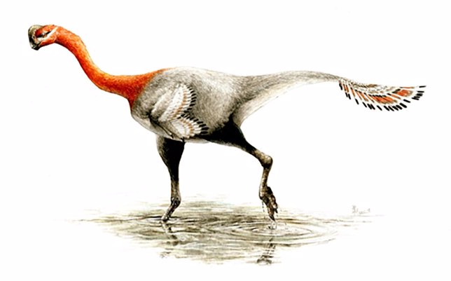 Apatoraptor