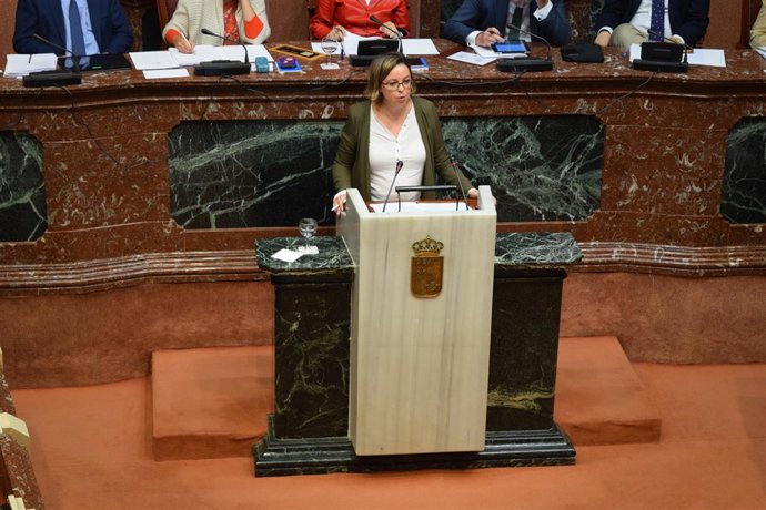 Foto Inmaculada González, pleno ley emergencia de la Asamblea