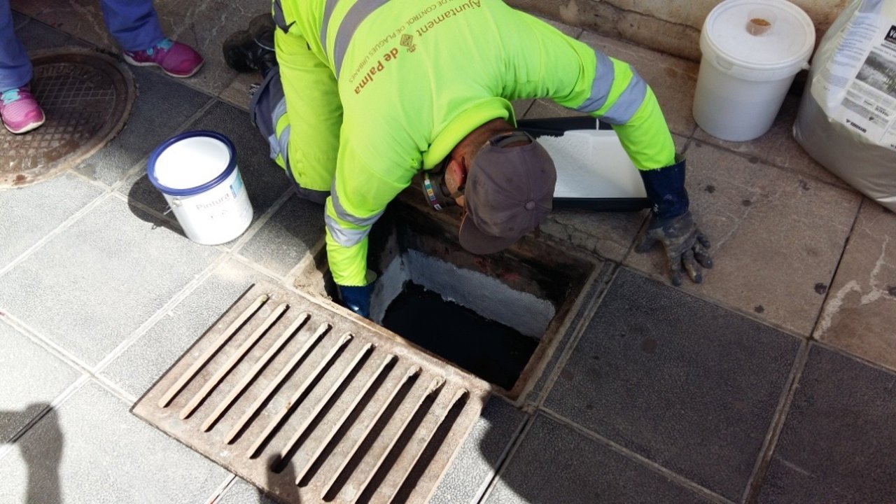 Campaña de control del mosquito tigre