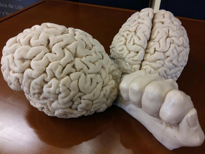 Natura, obra donada por Lidó Rico a la Facultad de Medicina