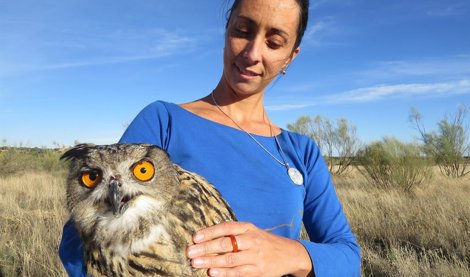 Cooperación y Desarrollo