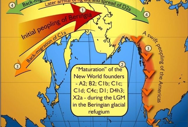 Paso humano por Beringia