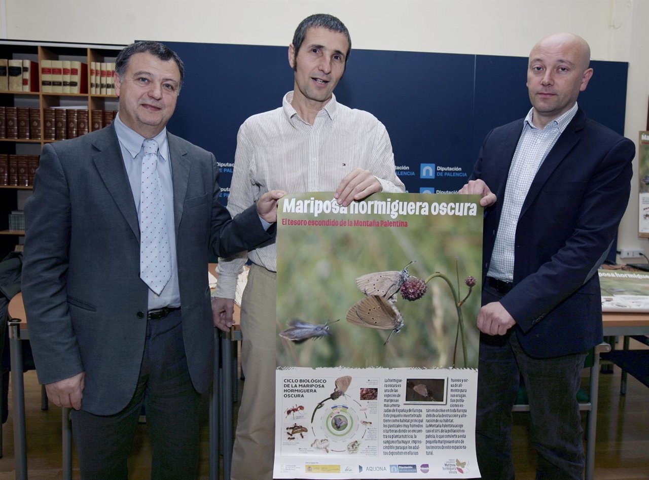 Presentación del balance de la conservación de la mariposa hormiguera oscura 