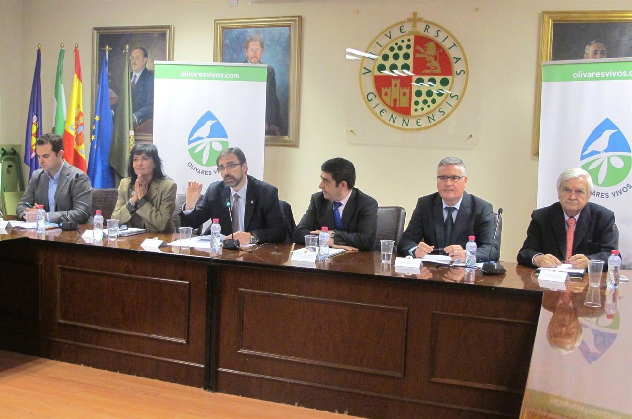 Presentación del proyecto Life+ 'Olivares Vivos'