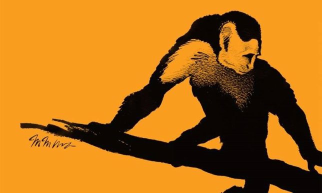 Mono pintado por Martin Moynihan