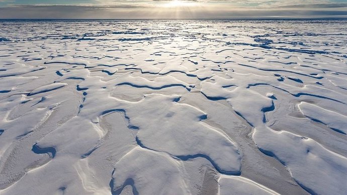 Hielo ártico
