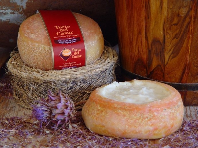 DOP Torta del Casar