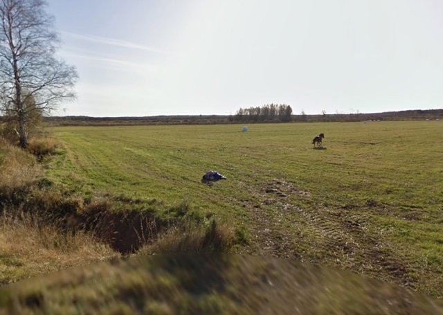 caballo google maps 5