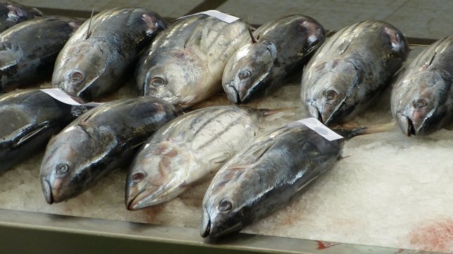 fish-market-244415_1920