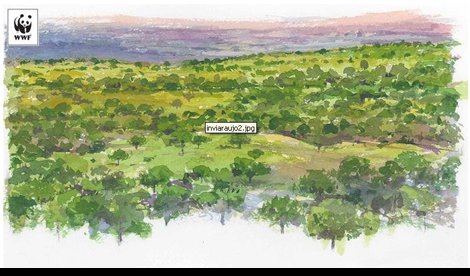 Cooperación y Desarrollo