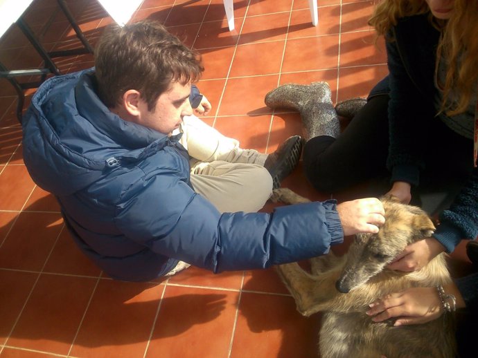 Usuarios de Autismo Sevilla realizan labores de voluntariado