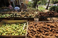 Cuba baja el precio de productos de primera necesidad