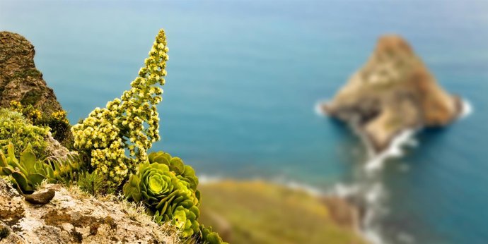 NOTA DE PRENSA Y FOTOGRAFÍAS: MUSEOS ACTIVIDADES