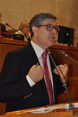 El consejero de Presidencia del Gobierno aragonés, Vicente Guillén, en el pleno