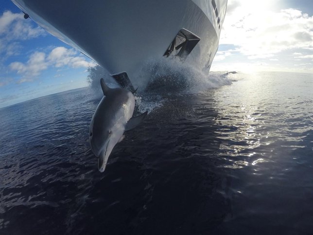 03. Sink or Swim - Dylan Jones_rt A