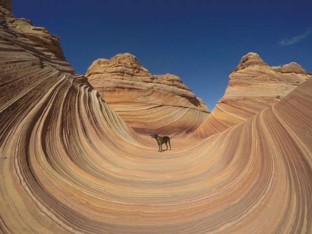 10. Riding the wave - Trevor DeHaas_rt A