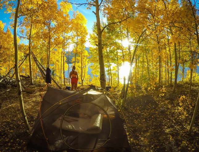 05. Here comes the sun - Lane Johnson B