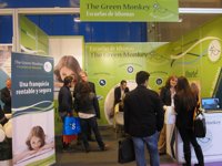 The Green Monkey, una escuela de idiomas cercana y con experiencia