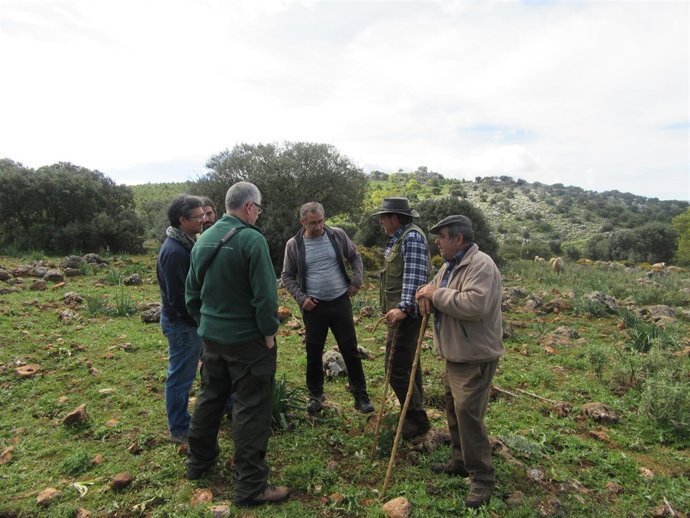 Red andaluza de pasto cortafuegos
