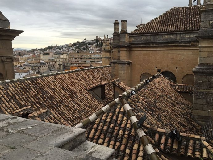 Cubierta de la Catedral de Granada