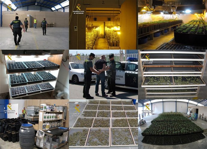 Operación 'CONNOR', 