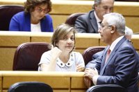 El PP elige la defensa de la unidad de España para el último Pleno del Senado