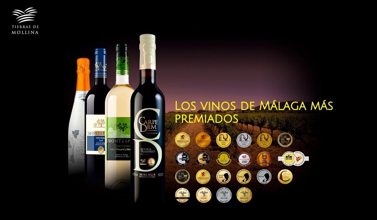 Web de la bodega Tierras de Mollina vinos