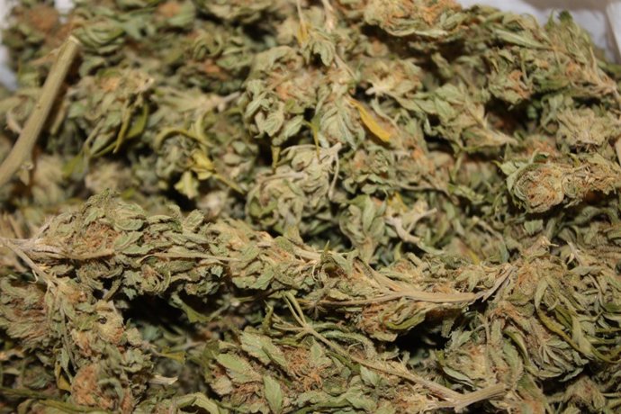 Droga incautada por la Policía Nacional en Pamplona