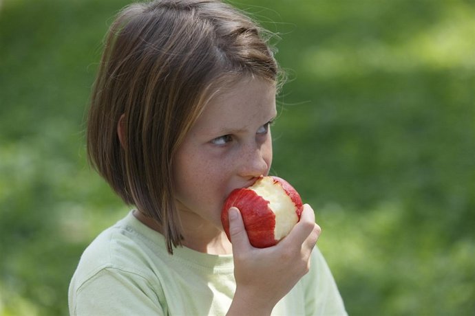 Suedtirol apfelernte 2009