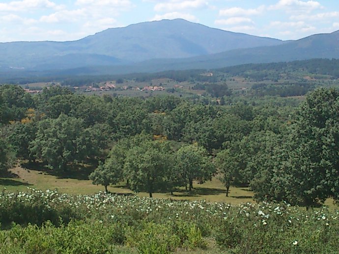 Paisaje De La Sierra De Gata (Cáceres)