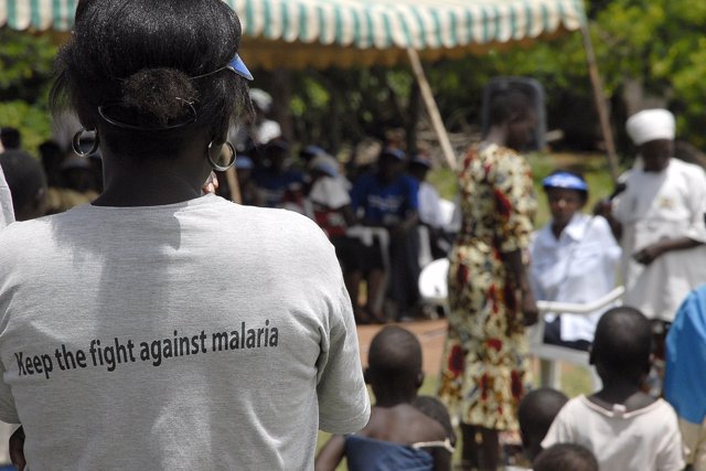 Malaria en África