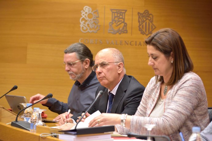 Matías Vicente, exdirector del IML, en el centro, en la Comisión del metro