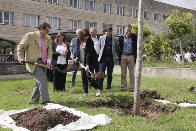 Francina Armengol planta un árbol en la UIB