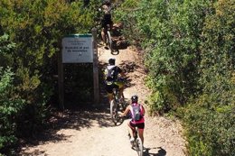 Ciclistas en el Parc Natural de la Serra de Collserola 