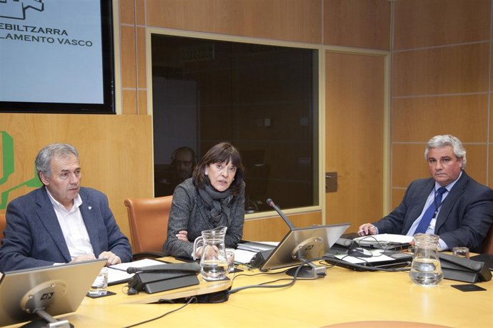 La viceconsejera de Justicia del Gobierno vasco, Ana Agirre, en el parlamento 