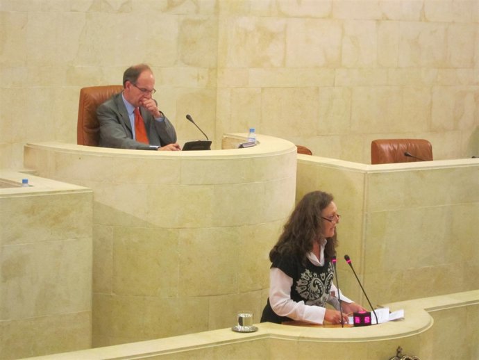 La diputada del PP Mercedes Toribio