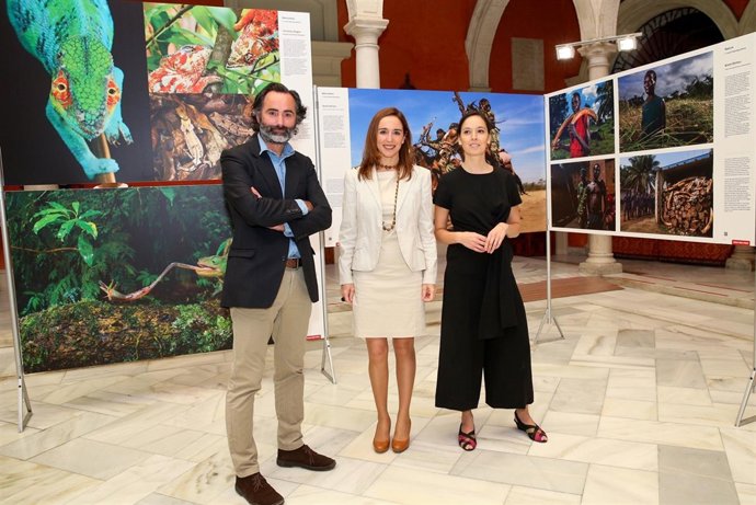  La Exposición World Press Photo 2016 En Fundación Cajasol