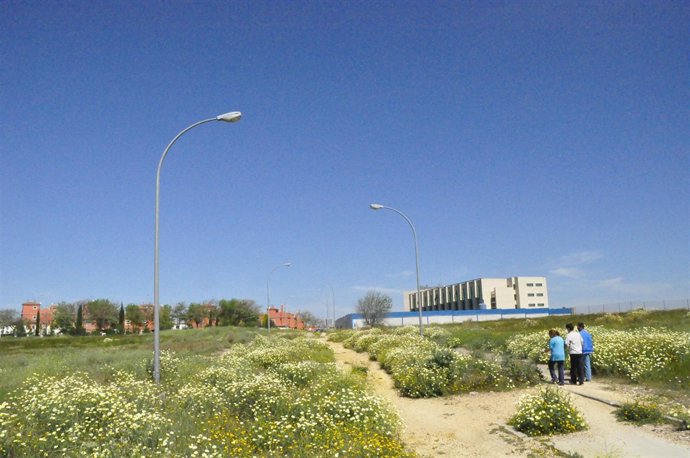 Tramo a urbanizar entre Tomares y San Juan.