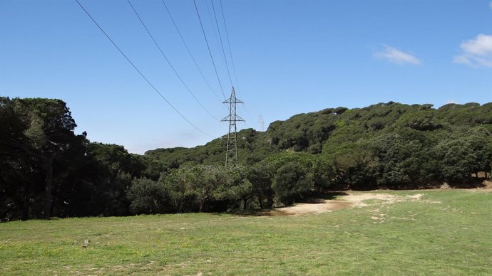 Renovación de la línea en el Parque de la Sierra Litoral