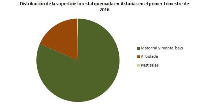 Superficie quemada en el primer trimestre de 2016.