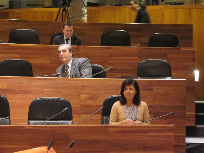 La consejera María Jesús Álvarez, durante el pleno de la Junta.