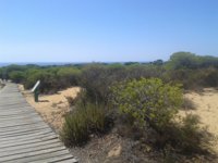 Ultimátum de Bruselas contra el exceso de turismo y regadío en Doñana