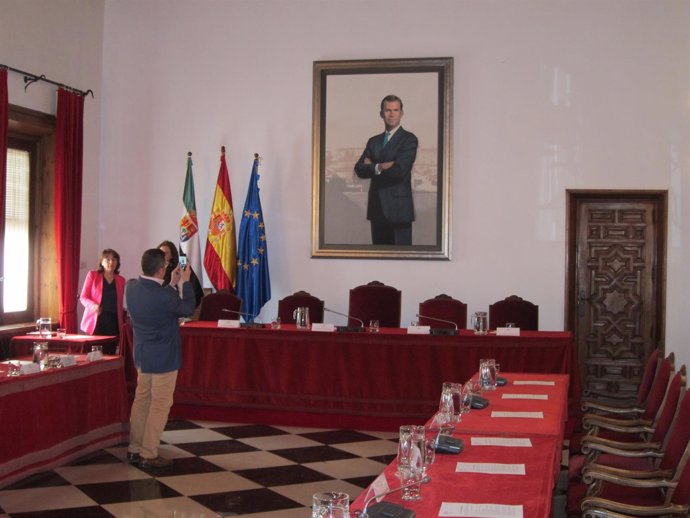 Cuadro de Felipe VI en la Diputación de Cáceres