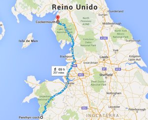 Perro Recorre 380 Km En 12 Dias Para Volver A Ver A Su Dueno Original