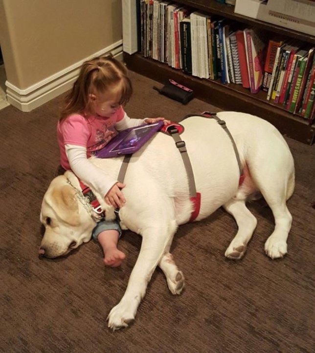 Hero es capaz de detectar una caída de azúcar a kilómetros de distancia