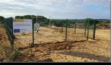 Cooperación y Desarrollo